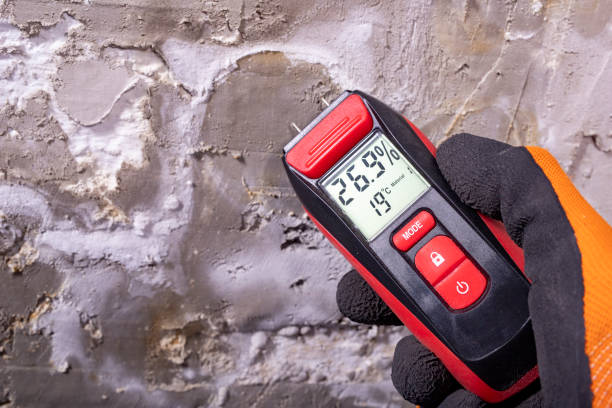 Best Best Mold Removal Companies  in Gas City, IN