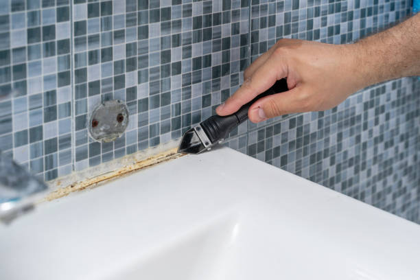 Best Commercial Mold Removal  in Gas City, IN