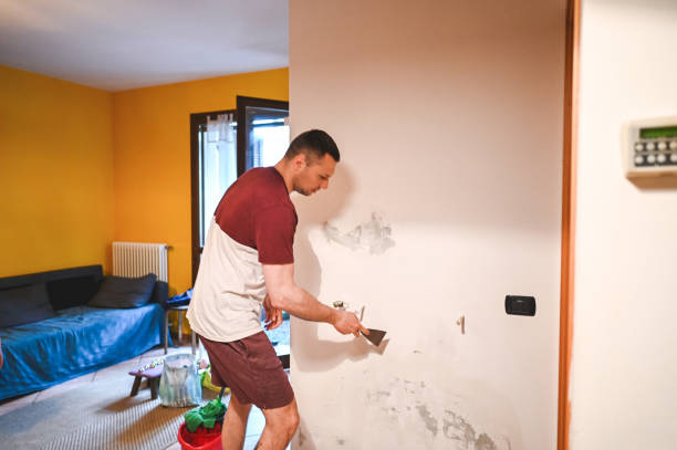 Best Emergency Mold Removal  in Gas City, IN